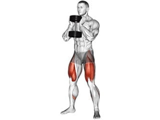squat goblet quadriceps exercice musculation