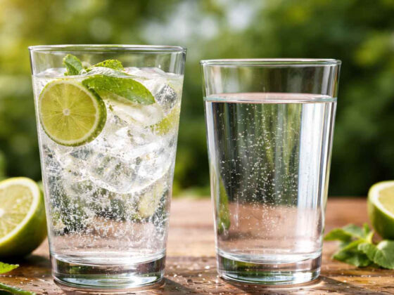 eau gazeuse hydrate eau plate