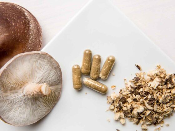 champignons le nouveau-supplement