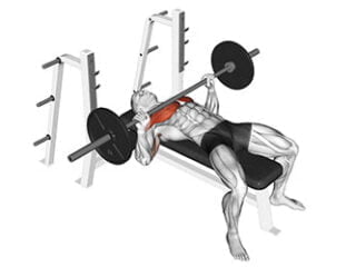 developpe couche exercice pectoraux