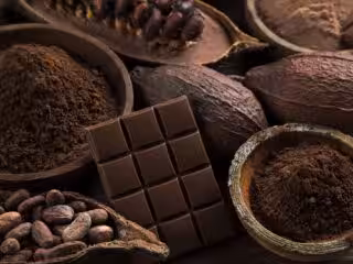 feves cacao et chocolats