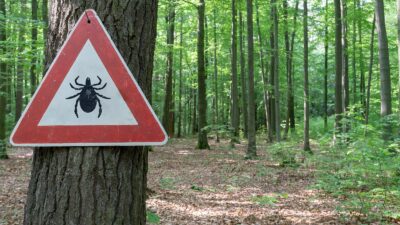 panneau prevention tiques foret