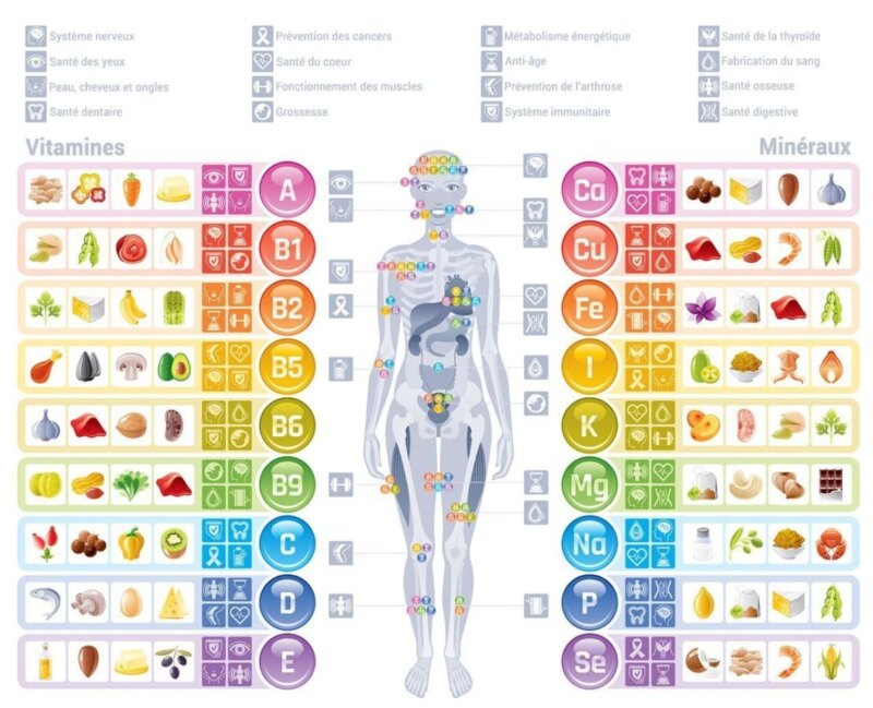 nutriments alimentation