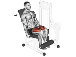 leg extension quadriceps exercice musculation