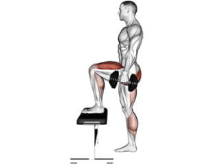 montees sur banc quadriceps exercice musculation