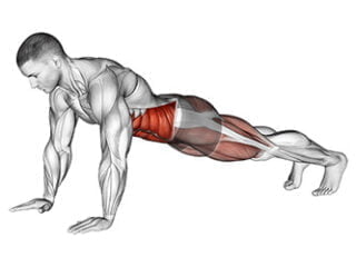 mountain climber abdominaux exercice musculation