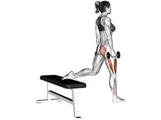 squat bulgare halteres quadriceps exercice musculation