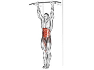 releve de genoux suspendu abdominaux exercice musculation