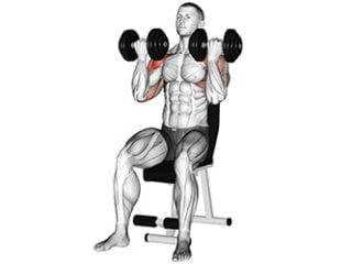 Developpe Arnold epaules exercice musculation