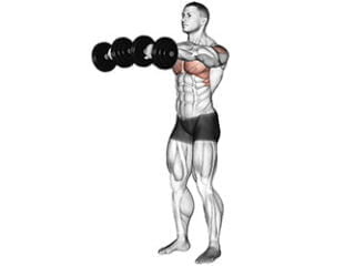 elevation frontale epaules exercice musculation