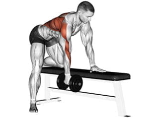 rowing haltere un bras dos exercice musculation
