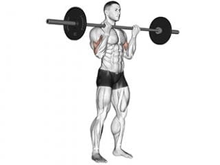 curl barre biceps exercice musculation