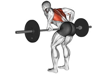 Rowing Avec Halt res Comment Et Pourquoi Faire Le Rowing Avec Halt res Rowing Avec Halt res Comment Et Pourquoi Faire Le Rowing Avec Halt res