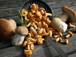 champignons