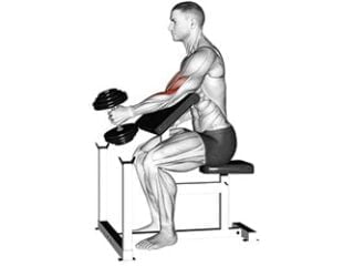 curl haltere prise marteau au pupitre biceps exercice musculation