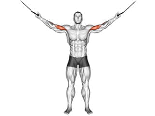 curl poulie vis a vis biceps exercice musculation
