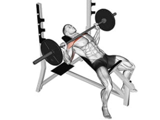 developpe incline barre exercice pectoraux