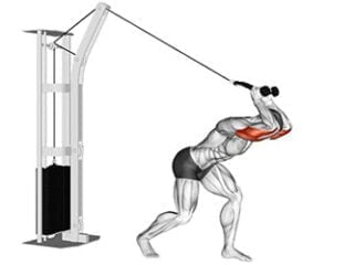 extension des triceps a la poulie haute a la corde exercice musculation