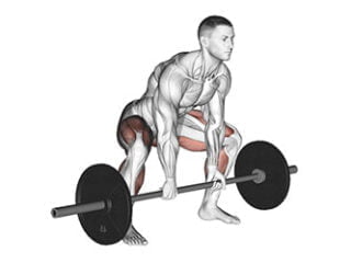 souleve de terre sumo ischio-jambiers exercice musculation