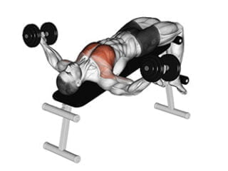 ecartes decline avec halteres exercice pectoraux