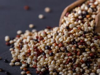 graine de quinoa