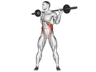 rotation buste barre exercice abdominaux