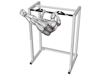 rotations abdos obliques suspendu exercice musculation