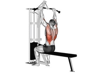 tirage vertical poitrine exercice dos