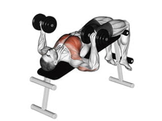 developpe decline halteres exercice pectoraux