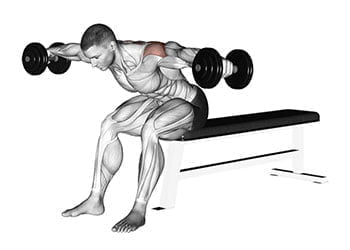 Exercice paule 43 Meilleurs Exercices Pour Se Muscler Les paules Exercice paule 43 Meilleurs Exercices Pour Se Muscler Les paules