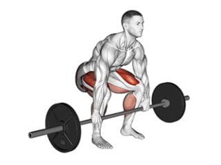 souleve de terre exercice jambes dos