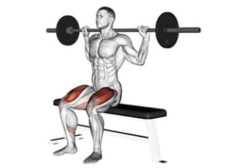 squat sur banc exercice quadriceps
