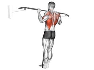 traction assistee avec elastique exercice dos