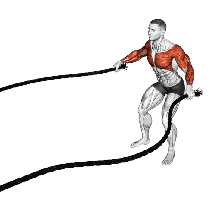 S'entraîner avec une Battle Rope : Technique de Pro Expliquée