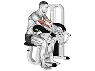 curl biceps pupitre machine prechargee