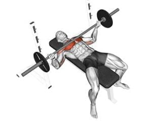developpe couche prise inversee exercice pectoraux