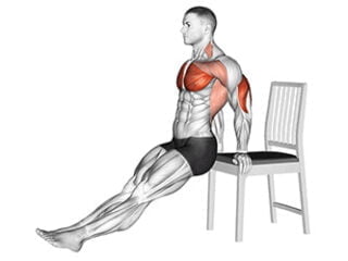 dips sur une chaise exercice triceps