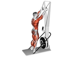 ergometre de ski exercice cardio