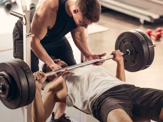 exercice musculation haut du corps