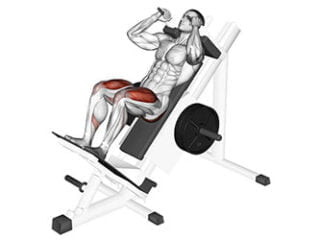hack squat exercice jambes