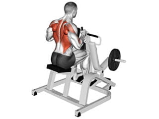 rowing assis machine exercice dos