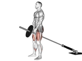 souleve de terre roumain a la landmine exercice ischio-jambiers