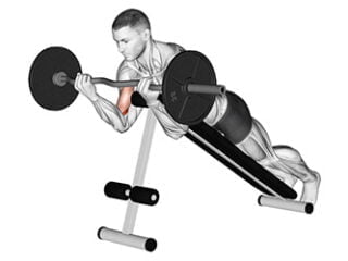 curl spider exercice biceps