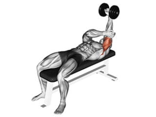 tate press exercice triceps