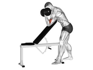 curl haltere debout sur banc incline exercice biceps brachial