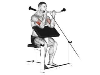 curl au pupitre a la poulie exercice biceps
