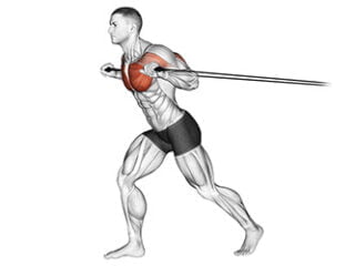 developpe debout avec elastique exercice grand pectoraux