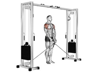 elevations laterales a la poulie exercice deltoide