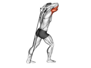 extension triceps derriere tete avec elastique musculation