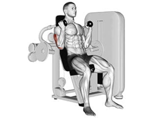 extension triceps machine technogym exercice triceps